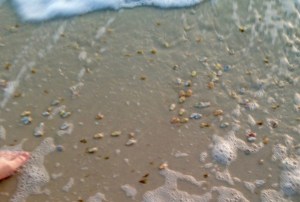 © 2017 Brenda S. Cox