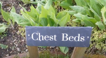 Picture 1 Chest Beds