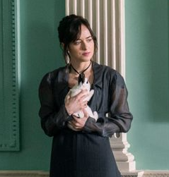 Persuasion 2022 Movie on Netflix: Anne with a Rabbit – Faith, Science ...